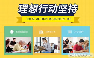 西培教育咨询服务深度解析 专业引领与个性化方案的结合