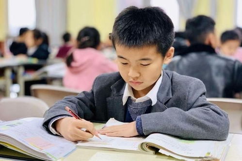 教育改革新战略即将落地，家长心态需理性调整